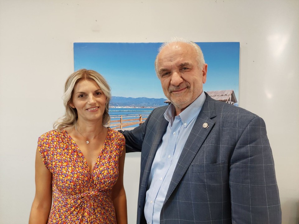 Όλγα Τσελίκα