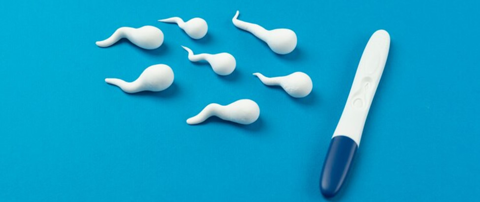 andrology urology.gr