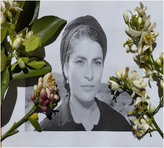 ειρηνη παπα χηρα ζορμπας