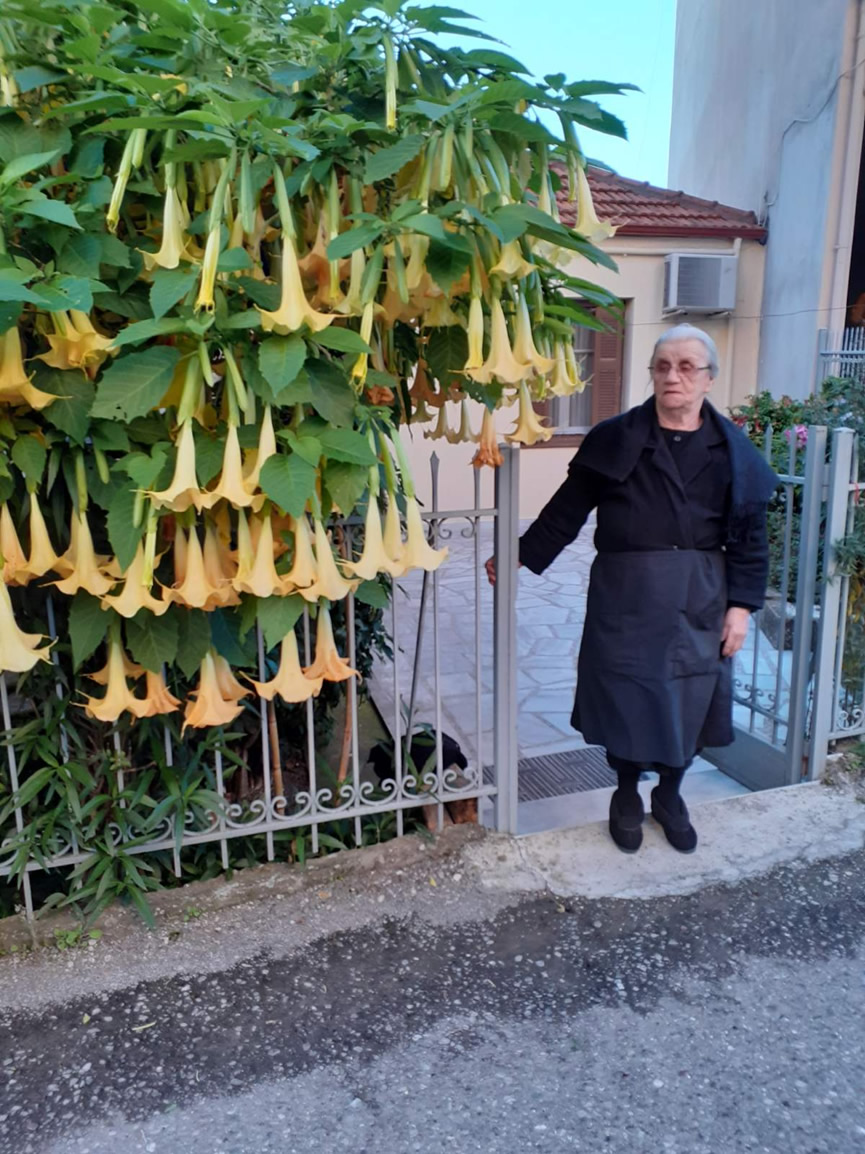 basiliki kalampaliki