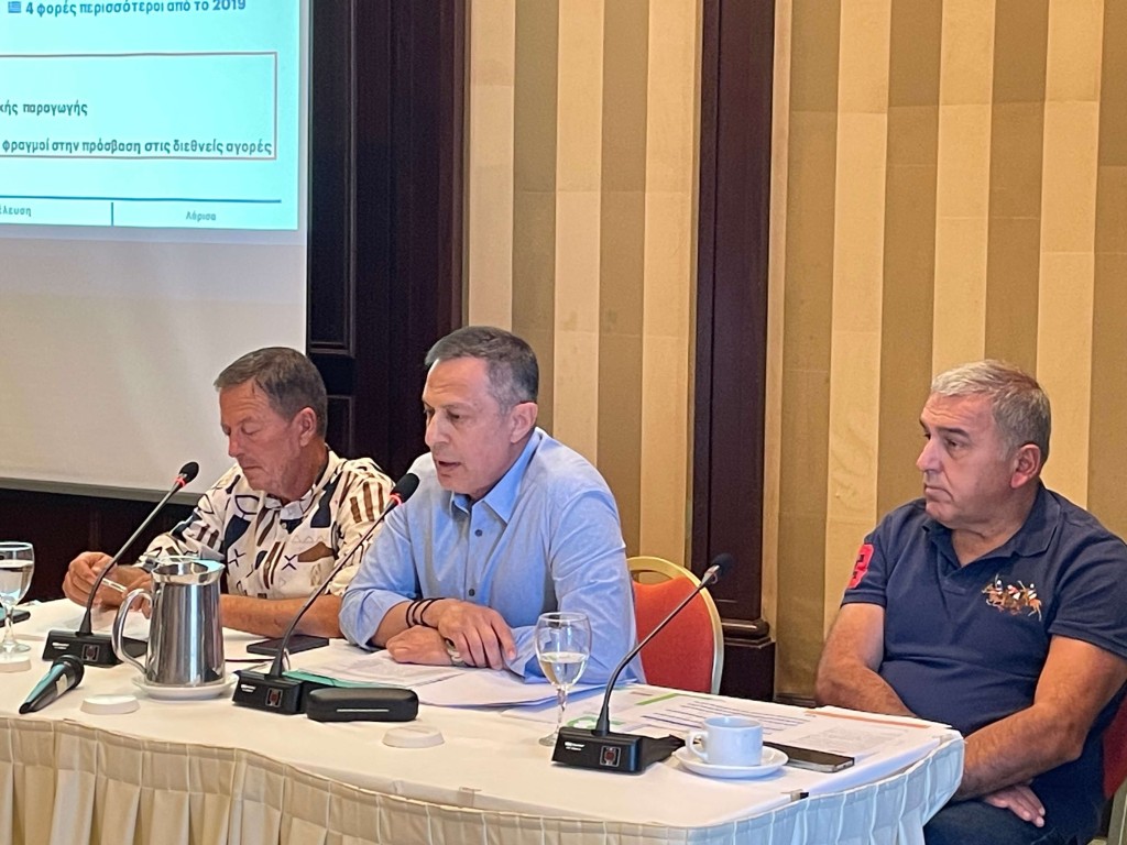 pemete geniki syneleysh