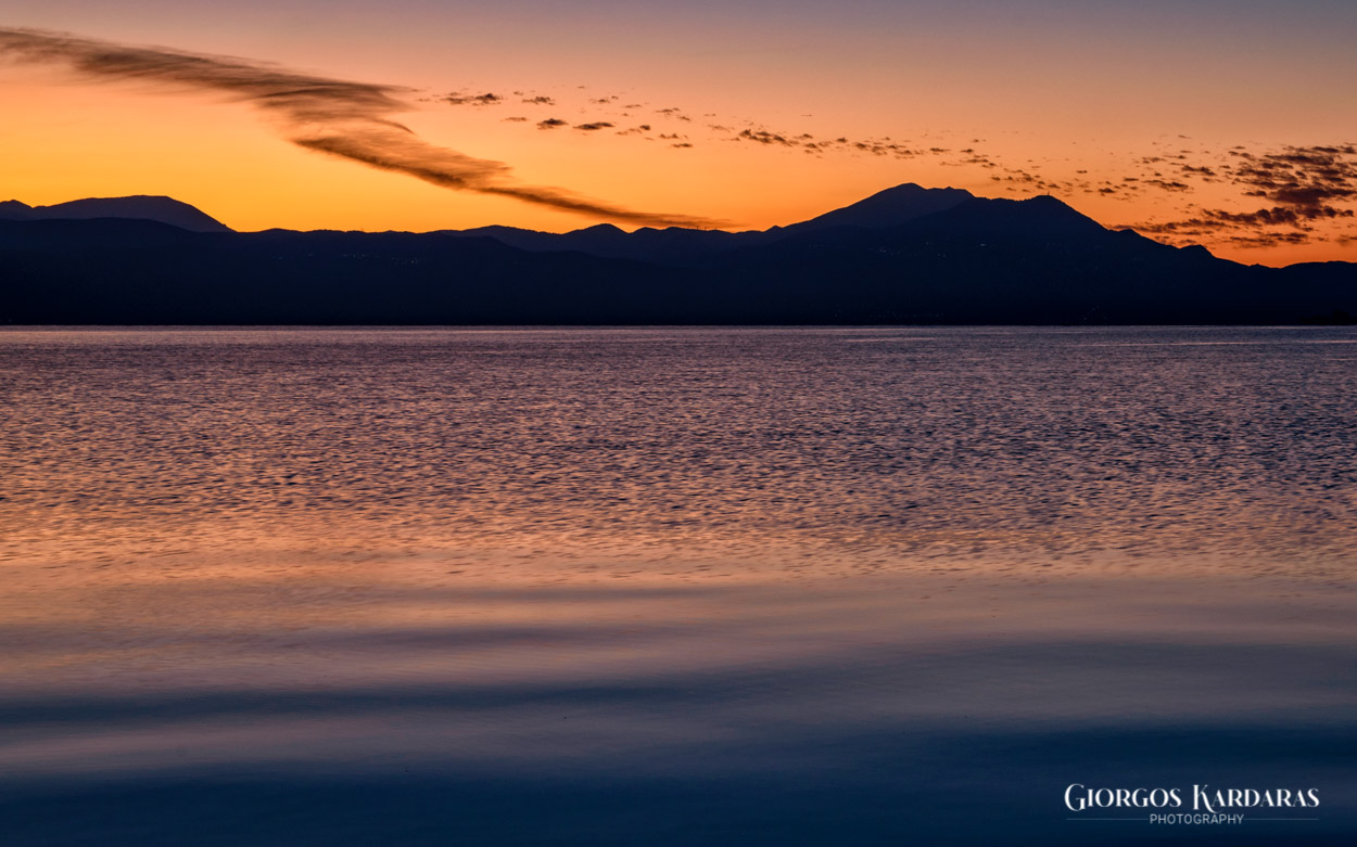 trichonida by night 03