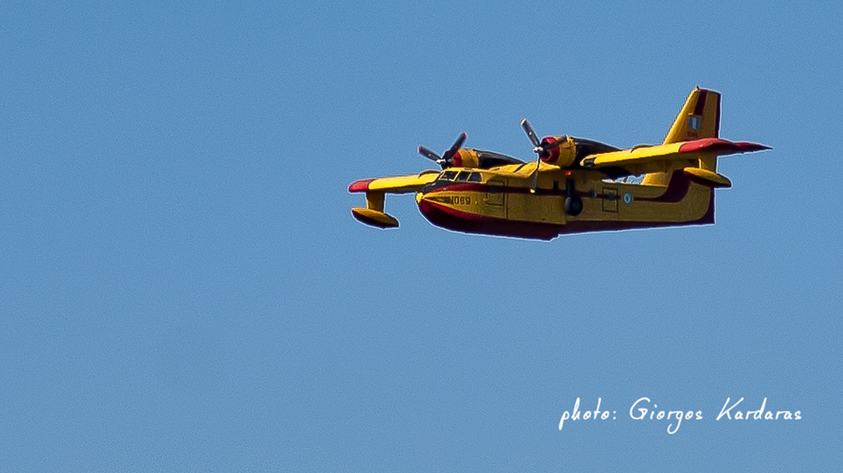 trixonida canadair 01