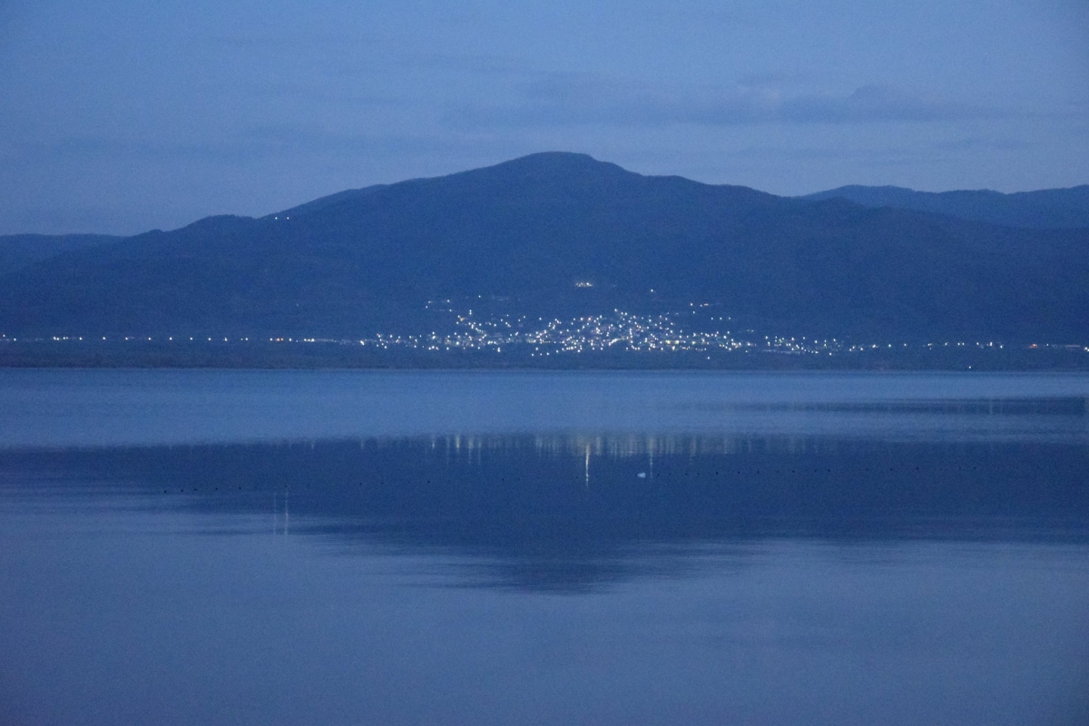 trichonida under moonlight images 03