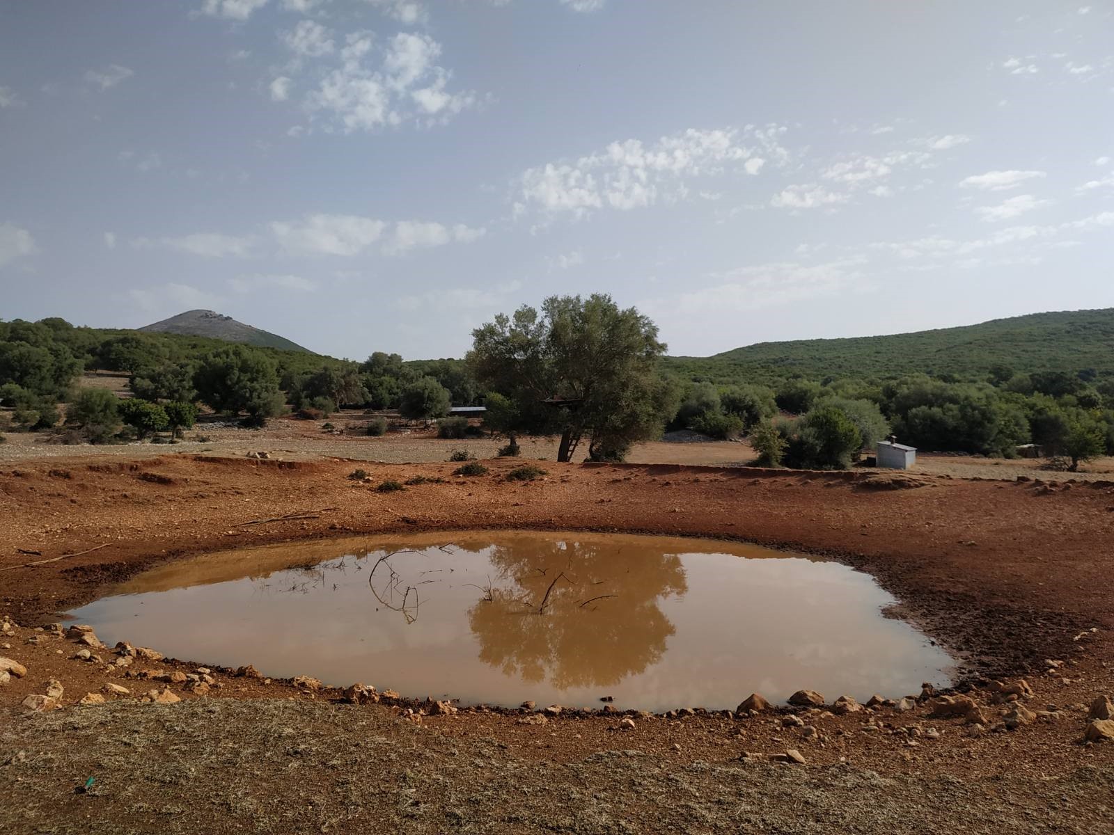 βριστιανα ξηρομερου 12