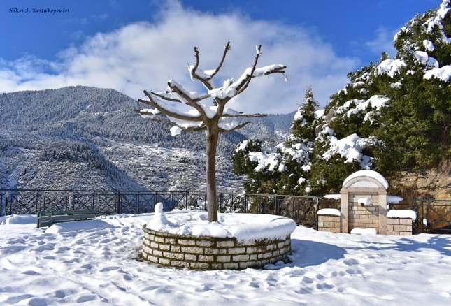3.Η Θέση Θέας Γιδομανδρίτη στα Αμπέλια χιονοσκέπαστη και στο βάθος η Αμβρακιά
