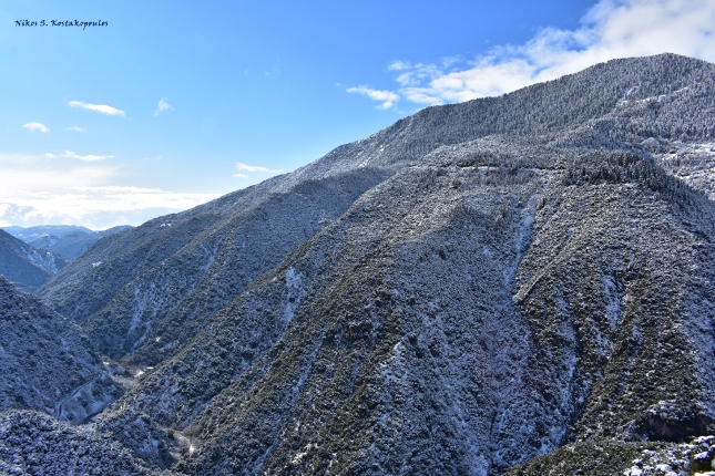 5.Η βορειοανατολική πλαγιά της Πάνω Κορφής χιονοσκέπαστη από τη Θέση Θέας Γιδομανδρίτη στα Αμπέλια