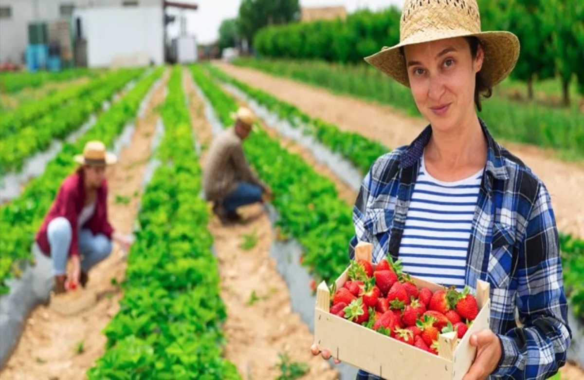 Στο επίκεντρο ο πληθωρισμός των τροφίμων και η κρίση κόστους ζωής