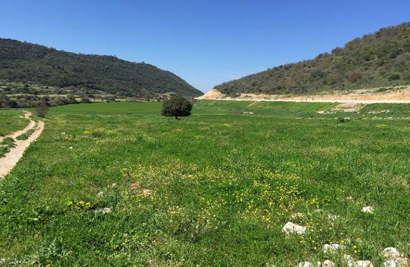 Πληρωμές 1,6 εκατ. ευρώ από τον ΟΠΕΚΕΠΕ