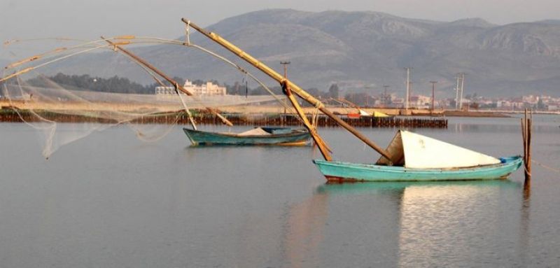 Εικόνες από τη λιμνοθάλασσα του Μεσολογγίου