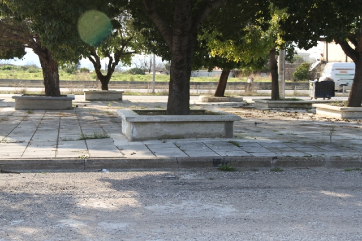 Τσιμεντωμένα δέντρα: Μια καινοτομία στο Αγρίνιο