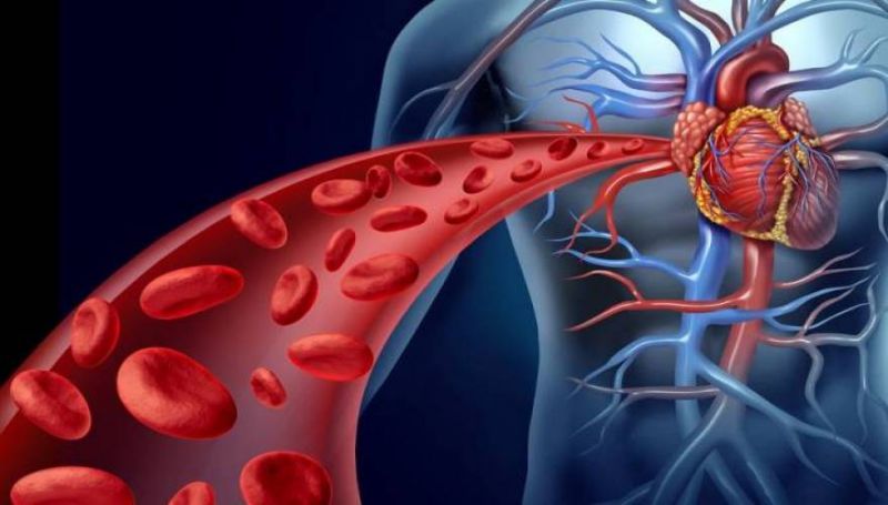 Το ποτό που καθαρίζει τις αρτηρίες και προστατεύει το συκώτι!