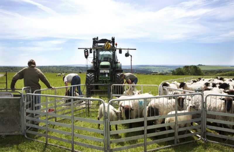 Ολοκληρώθηκε η υποβολή αιτήσεων για τη «Σύσταση Ομάδων και Οργανώσεων Παραγωγών»