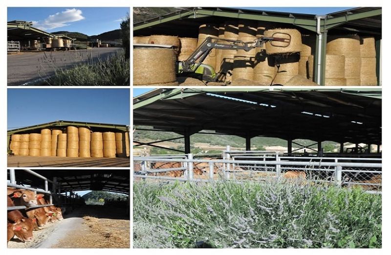 Σχέδια Βελτίωσης: η διαδικασία και οι όροι για τη δανειοδότηση