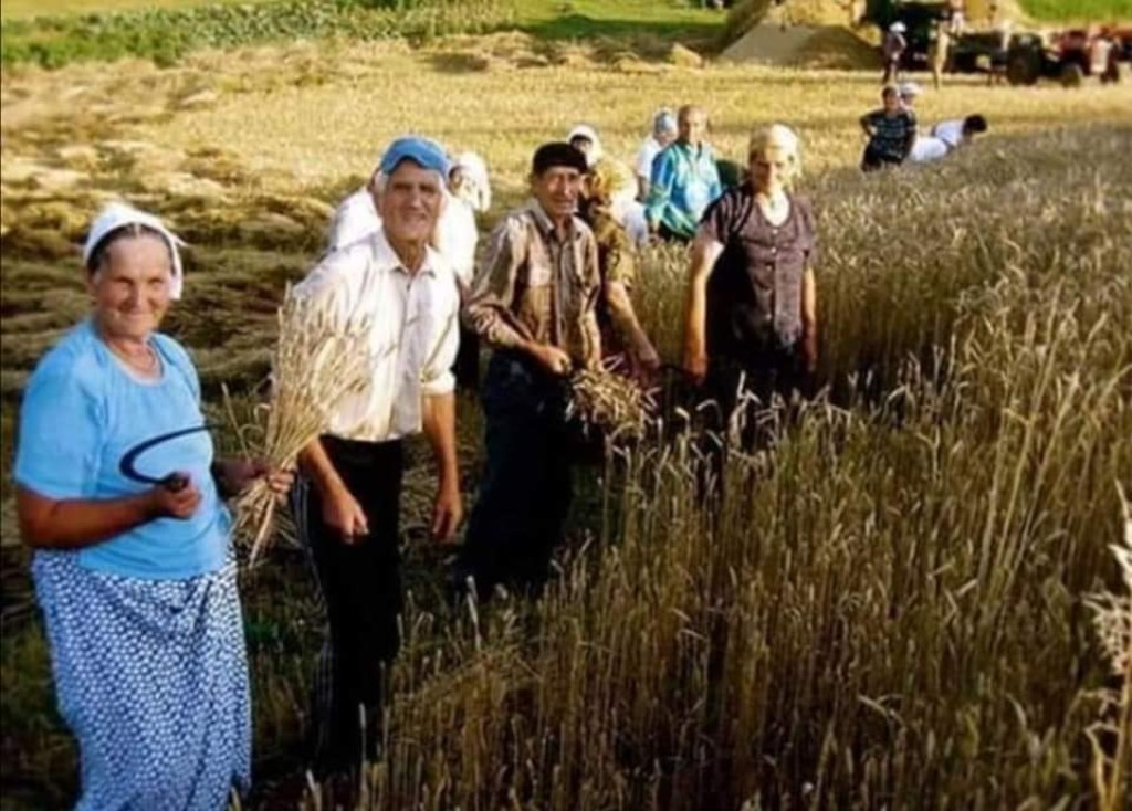 15 Οκτώβρη: Παγκόσμια Ημέρας Αγρότισσας - Τιμούμε τη μάνα Αγρότισσα