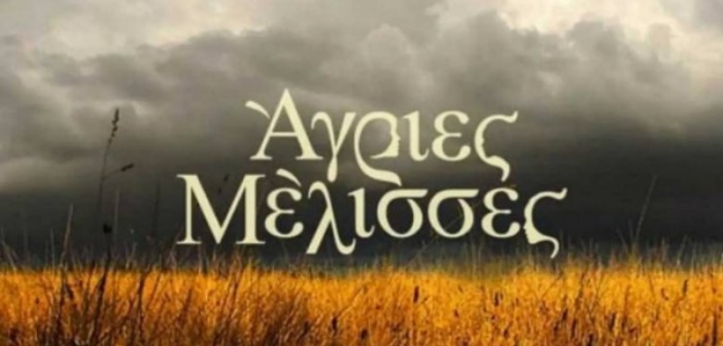 Άγριες Μέλισσες: Στο φως το ένοχο παρελθόν – Μία δυσάρεστη έκπληξη ανατρέπει τα πάντα