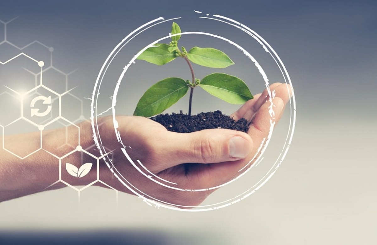 Ψηφιακές και «πράσινες» επενδύσεις στις γεωργικές εκμεταλλεύσεις