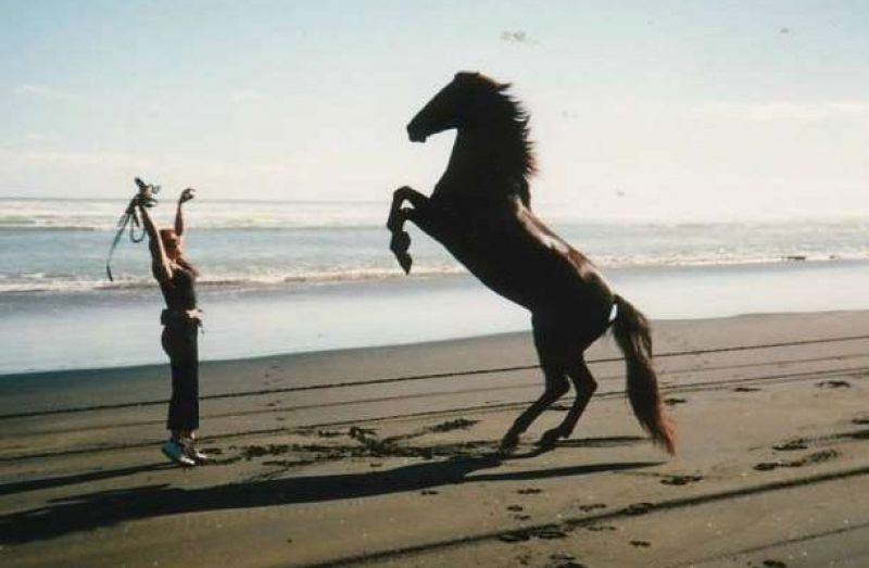 20 γνωρίσματα των ανθρώπων που έχουν αποφασίσει να είναι ευτυχισμένοι