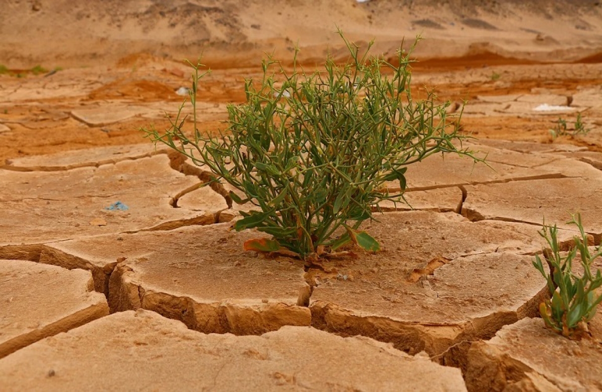 Ακραία ξηρασία στην Ευρώπη