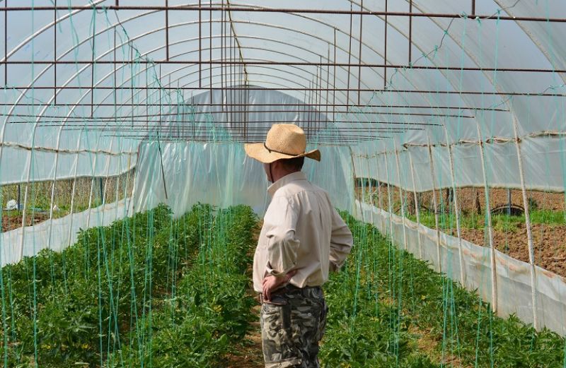 Ξεκινούν οι αιτήσεις για το 14χίλιαρο