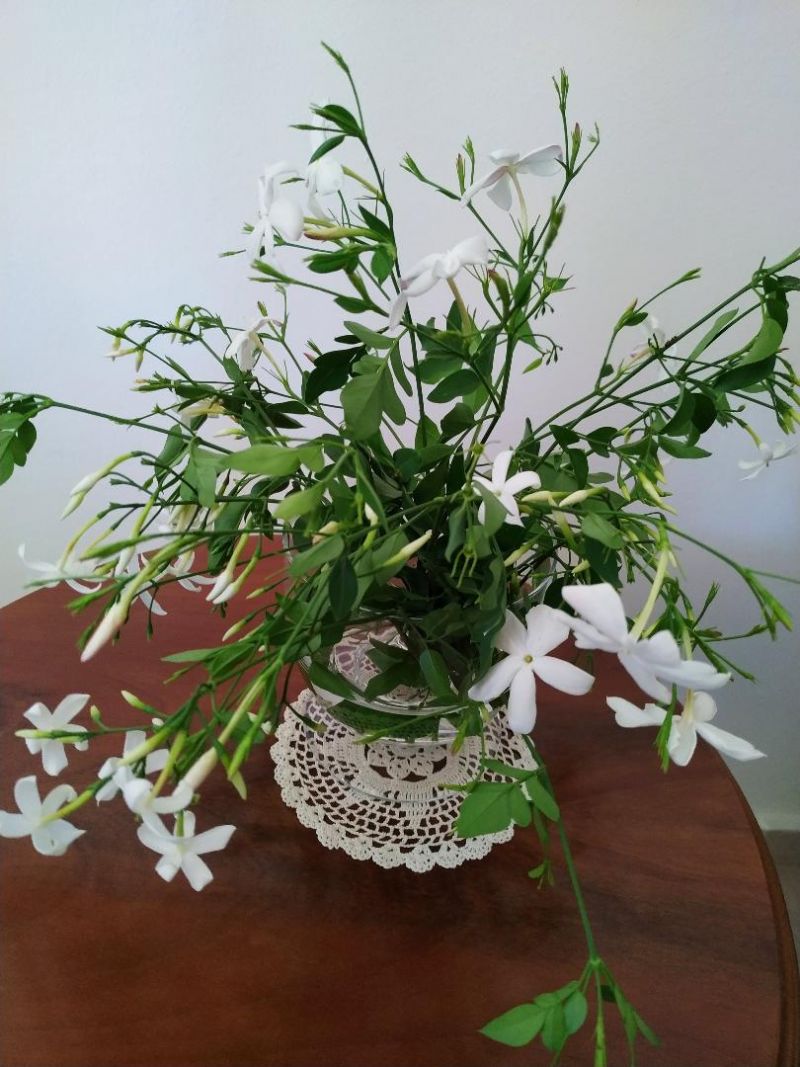 21 Ιουνίου γιορτή του Πατέρα