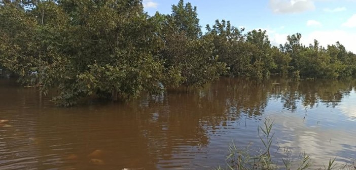 Η απραξία που «αναβάθμισε» την κλιματική αλλαγή σε κλιματική κρίση