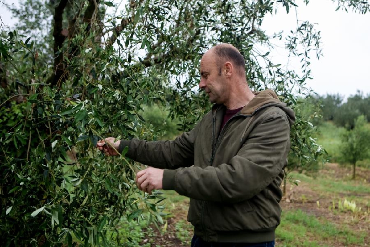 Μετά τον Ολυμπιακό, αγρότης στη γενέτειρα του: η ιστορία του Αιτωλοακαρνάνα Μιχάλη Κούσουλα