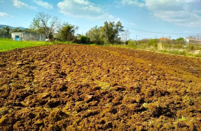 Πληρωμές 875 χιλ. ευρώ σε 208 δικαιούχους