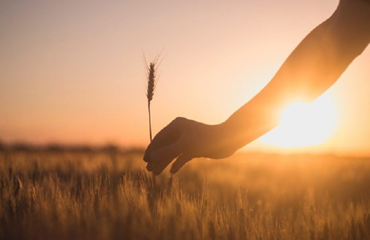 Σ. Κεδίκογλου: Απαιτείται ενίσχυση της εθνικής μας αυτάρκειας σε ενέργεια και πρωτογενή τομέα