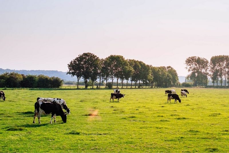 Δήμος Ναυπακτίας: Ημερίδα μέ θέματα που αφορούν τον πρωτογενή τομέα την Δευτέρα 26/2/2018