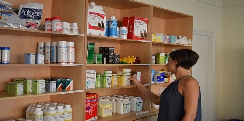 Κτηνιατρείο