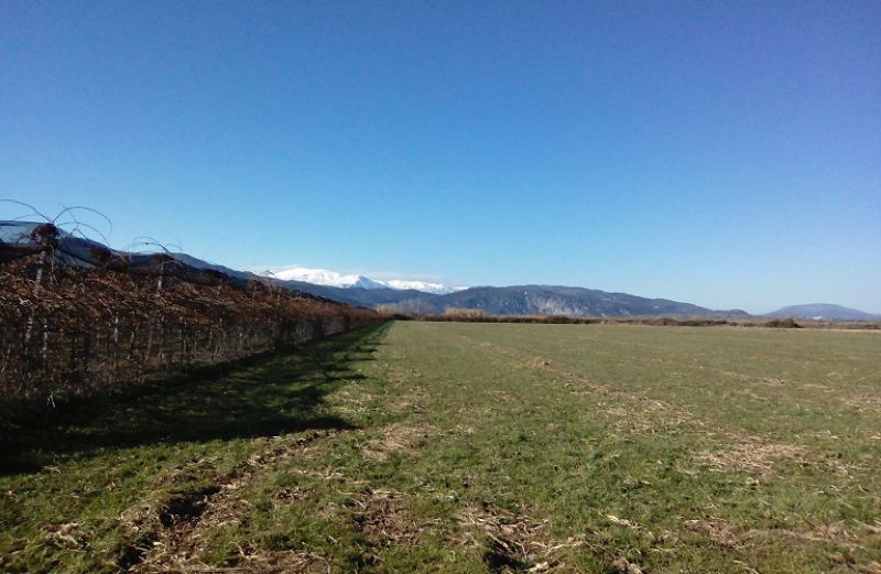 Πληρωμές ΟΠΕΚΕΠΕ σε 598 δικαιούχους