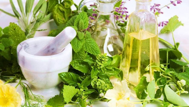 To «θεϊκό» βότανο: Αυξάνει τις νοητικές ικανότητες και βελτιώνει τη μνήμη