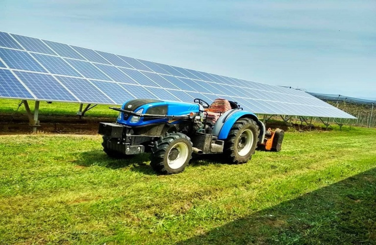Υποβολή δήλωσης από τους κατ’ επάγγελμα αγρότες παραγωγούς