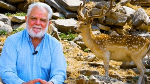 Ο Γρηγόρης και τα ελάφια του | Greek village life | Η ζωή στο χωριό (βίντεο)