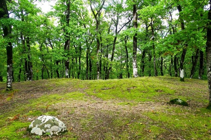 “Εικόνες από τον χειμερινό Αράκυνθο”