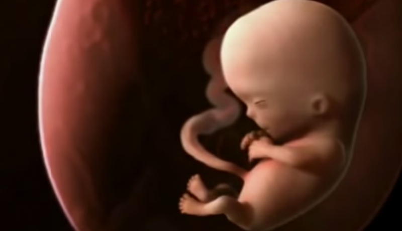 Το θαύμα της ανθρώπινης δημιουργίας (video)