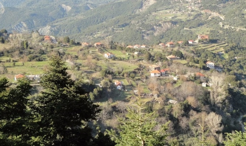 Η Χούνη, η ΔΕΗ και η κοροϊδία με τα 500 ευρώ