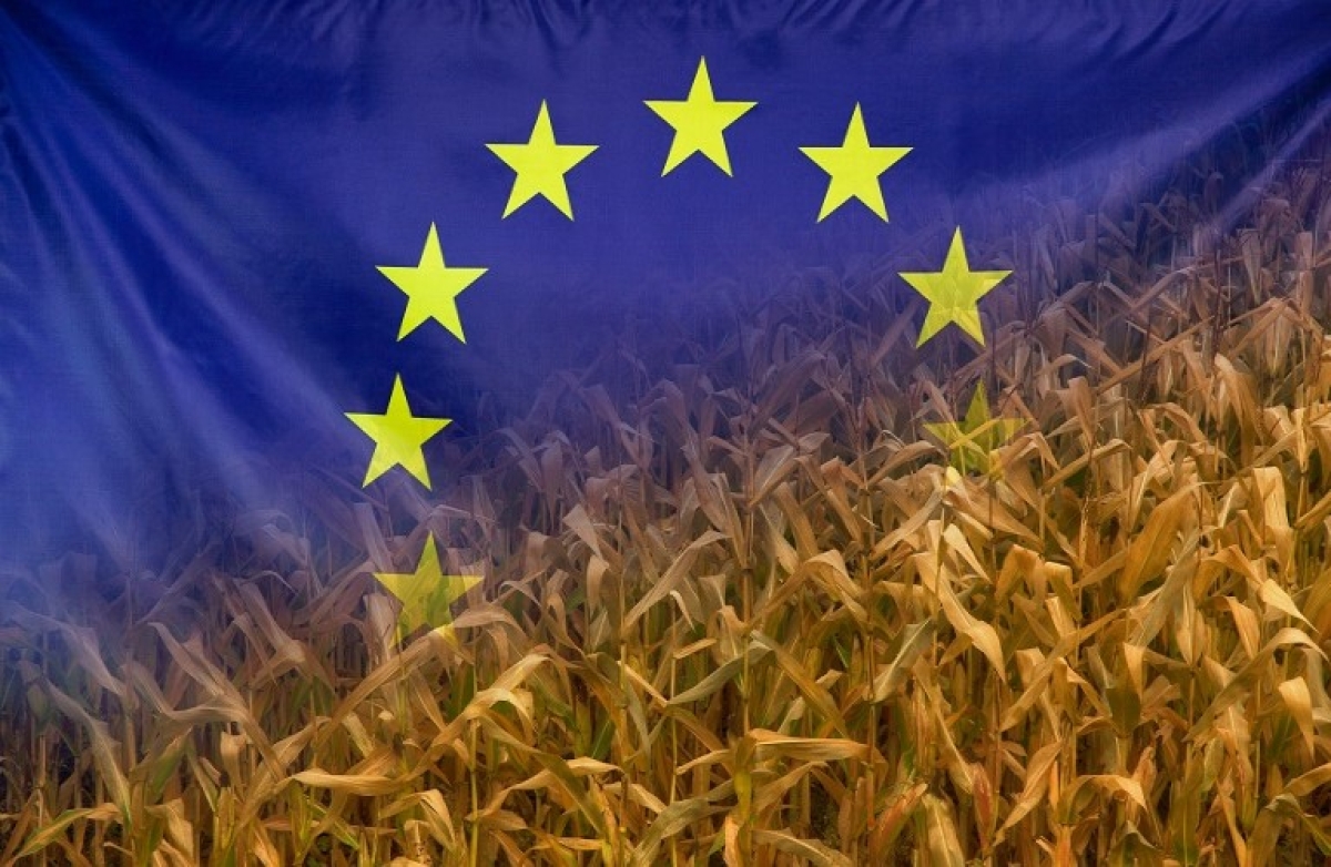 Οι 19 προτάσεις της Ελλάδας στο Συμβούλιο Υπουργών Γεωργίας