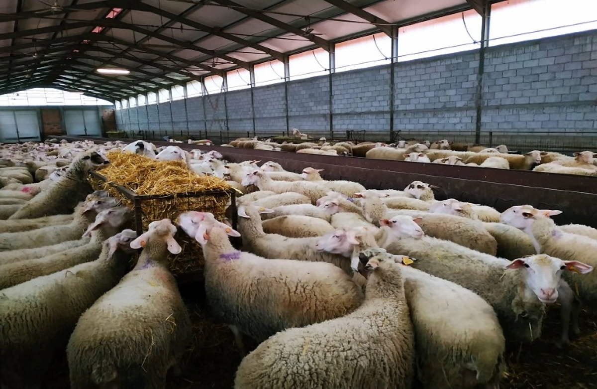 Μέτρο 22: οι οριστικοί πίνακες πληρωμής για τους νεοεισερχόμενους