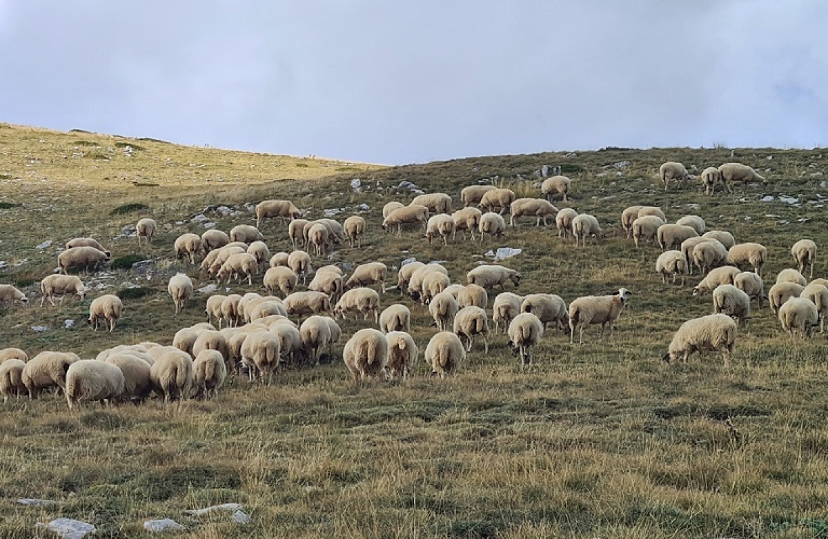 Εξισωτική Αποζημίωση: από 5 έως 18 Δεκεμβρίου οι ενστάσεις