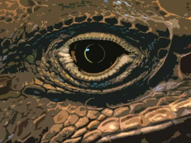 Η συνωμοσία του Καλού