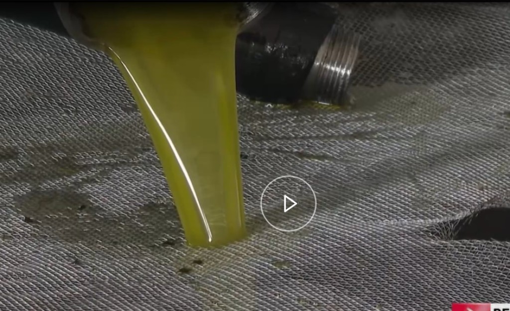 Ελαιόλαδο: Φέτος μεγαλύτερη παραγωγή, φθηνότερο προϊόν