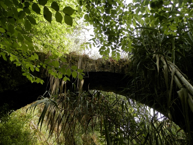 Το ξεχασμένο «γεφύρι της καλογριάς» (φωτο)