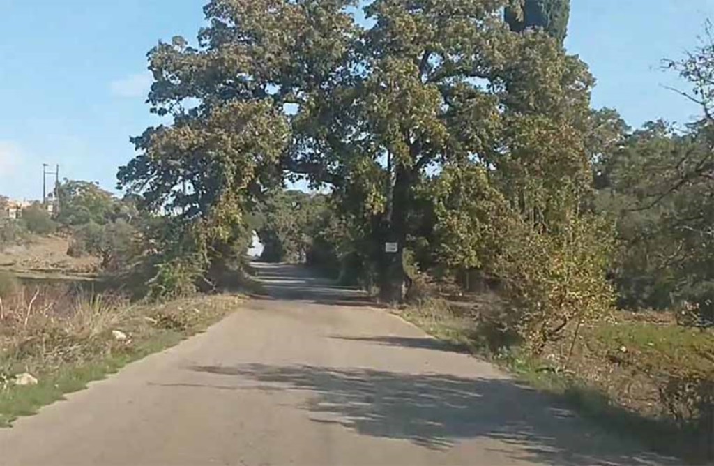 Tσαπουρνιά Ξηρομέρου: Μνήμη και Μνημείο