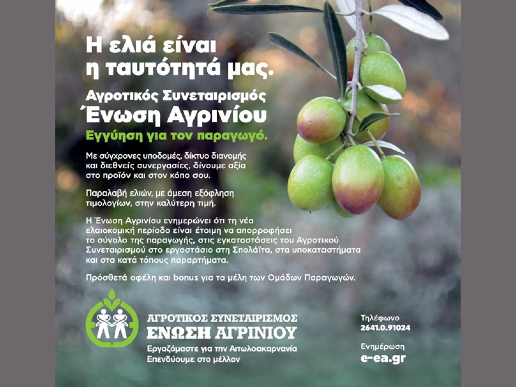 Ένωση Αγρινίου: παραλαβή ελιών στο εργοστάσιο, στα υποκαταστήματα και στα κατά τόπους πρατήρια