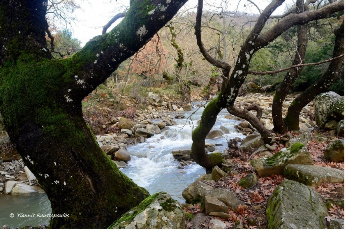 Πανέμορφο τοπίο στον «Παπασιάγγο» του Αρακύνθου