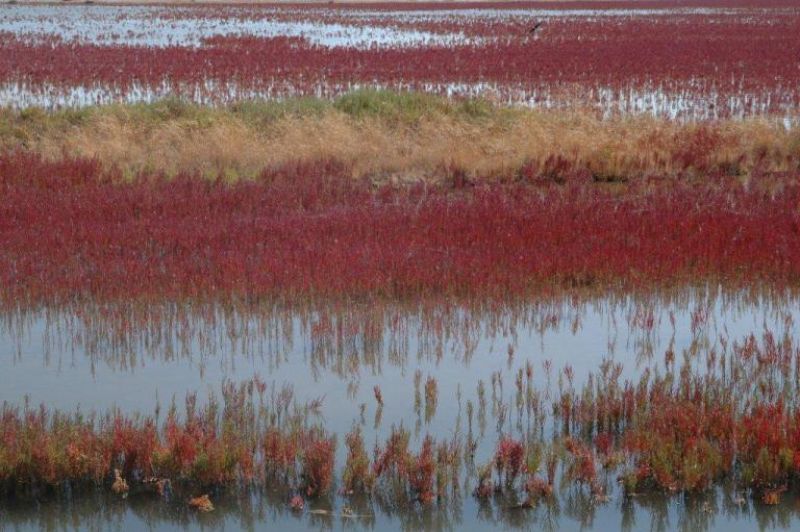 Το πολύχρωμο μωσαϊκό των βιότοπων της Αιτωλοακαρνανίας
