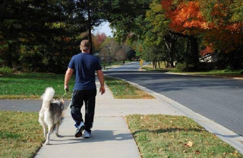 Αναλυτικές οδηγίες για τις μετακινήσεις