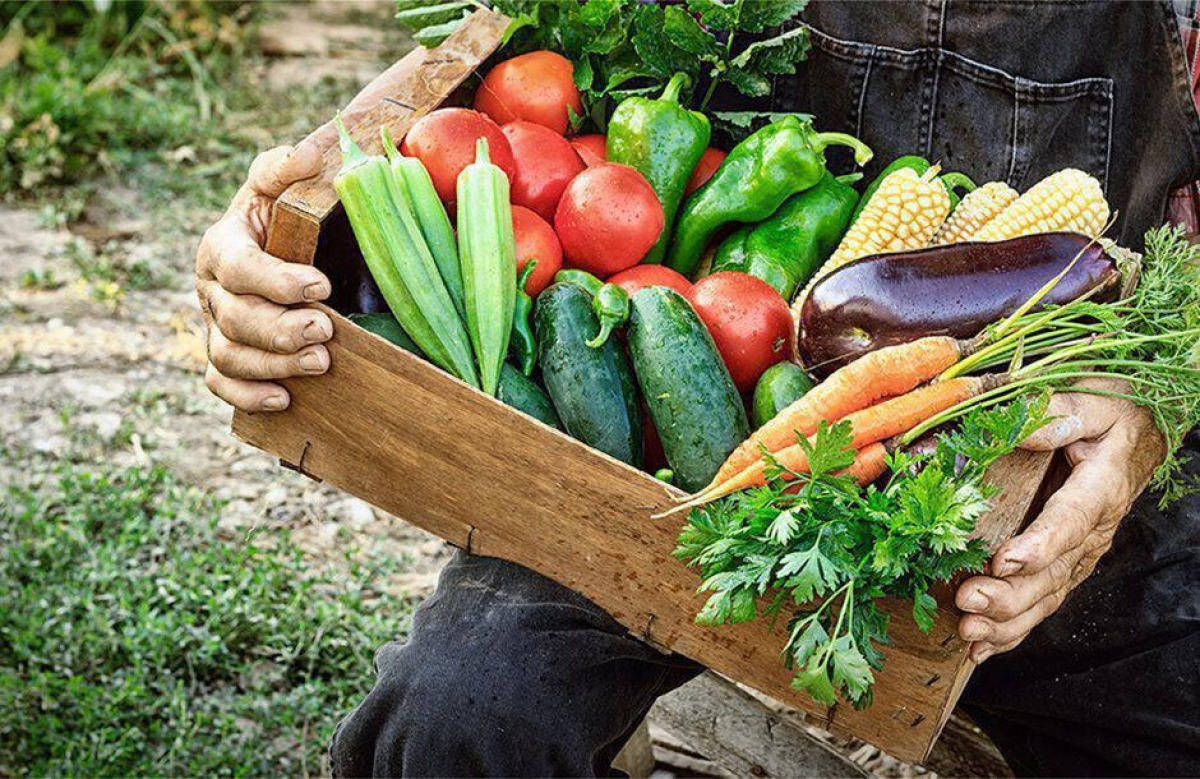 Πως «πουλάνε» την αγροτική παραγωγή τους άλλες περιοχές, αντίθετα από την Αιτωλοακαρνανία